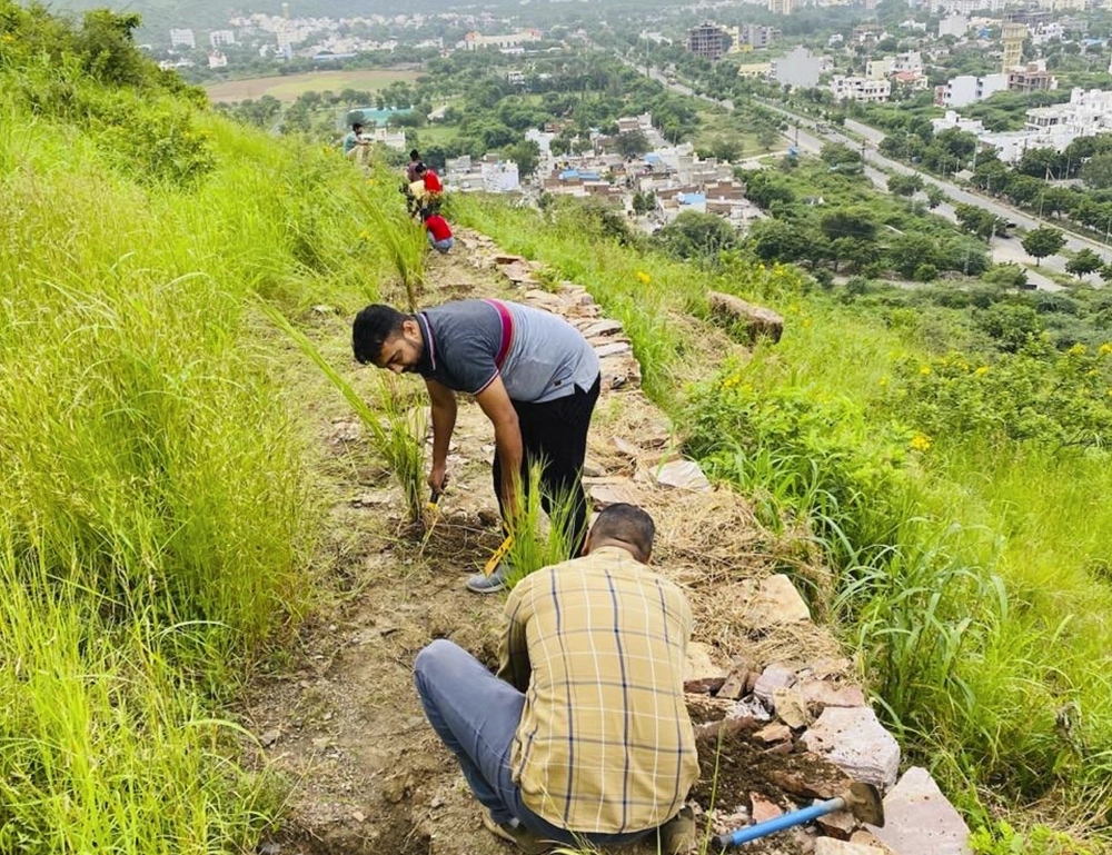 Few people planting plants in a gulab vatika